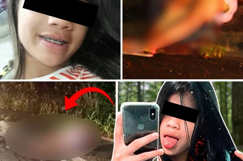 “POR FAVOR, ME DÁ MEU CELULAR!” O áudio chocante que revelou os últimos segundos de Lenita, a jovem de 14 anos br*talm*nte ex*cut*da em Manaus após ser enganada e sofrer uma emboscada na internet.