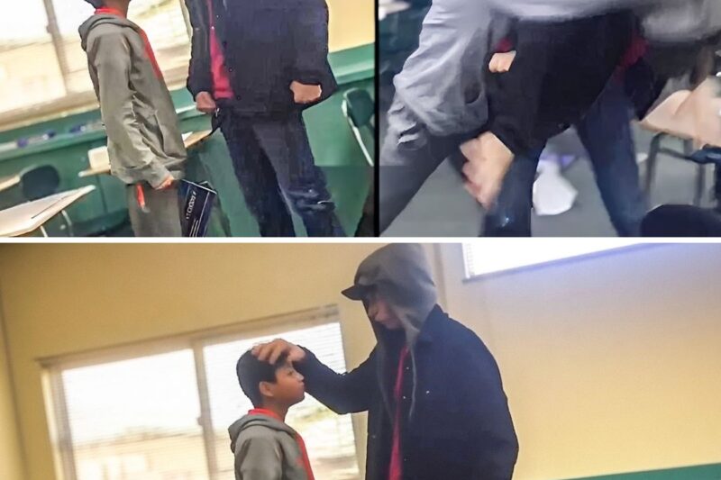 “LER UM POUCO MAIS DE LIVROS NÃO VAI TE FAZER CRESCER MAIS ALTO!”: A Arrogância de Valentão de Escola Termina em Resposta Brutal e Nocaute Humilhante Após Tentar Humilhar Aluno CDF no Meio da Sala de Aula