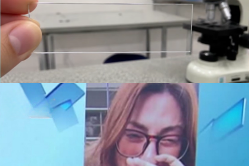 Do Microscópio Ao Medo: Professora Encontra Vidro Em Copo De Água Durante Aula Prática No Interior De São Paulo E Denuncia Alunos