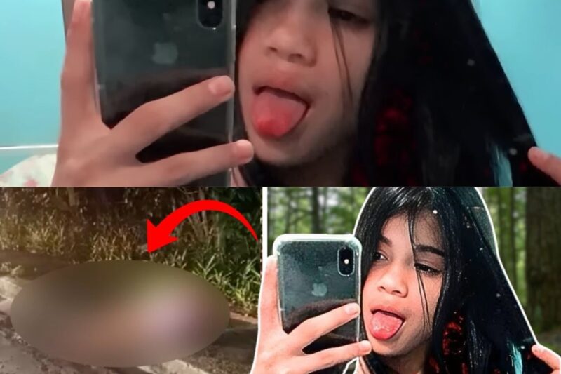 Aos 14 anos, Lenita acreditou estar indo para uma festa, mas encontrou o seu destino final em uma emboscada brutal. O que aconteceu naquela noite em Manaus chocou o país inteiro e revelou a crueldade impiedosa das facções criminosas. Imagens gravadas pelos próprios assassinos registraram o desespero da jovem, que implorou por sua vida até o último segundo. Como uma adolescente acabou sendo alvo de uma execução tão fria? Descubra os detalhes dessa tragédia que expôs a violência desenfreada nos comentários abaixo e veja como a justiça finalmente foi feita.