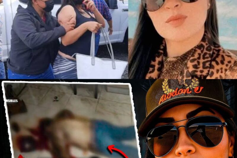 A ganancia financeira valia o sangue de toda a sua família. Em uma noite trágica em Boca del Rio, sete pessoas, incluindo um adolescente, foram brutalmente assassinadas em sua própria casa. A única sobrevivente era a filha do dono do negócio, que fingiu ser uma vítima enquanto o caos reinava. Mas o que parecia um ataque do crime organizado revelou uma traição chocante vinda de dentro. Como uma filha pôde planejar o massacre de seus próprios pais e irmãos por dinheiro? Descubra os detalhes sombrios desta história no link abaixo.