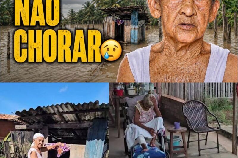 O drama de Dona Josina: Aos 87 anos, idosa sobrevive em barraco cercado por lama e esgoto no Pará