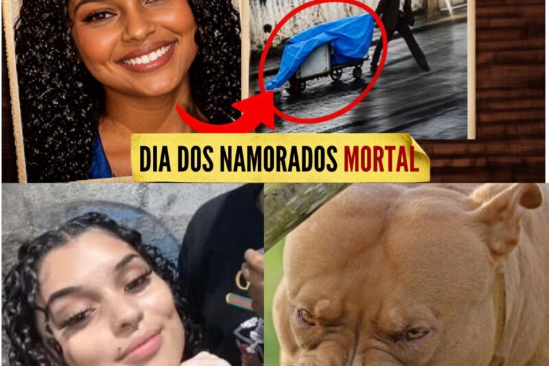Jovem Brasileira é Assassinada e Corpo é Entregue a Cães da Raça Pitbull no Dia dos Namorados no Rio de Janeiro