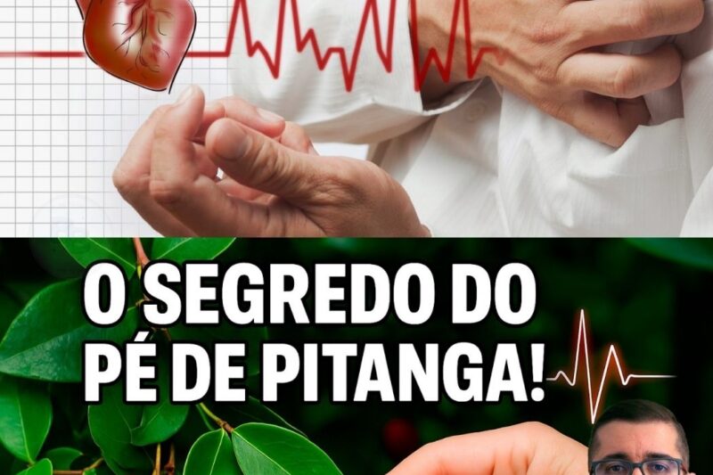 O chá da folha de pitanga virou alerta nacional: a planta esquecida no quintal que pode ajudar a proteger veias, coração e circulação
